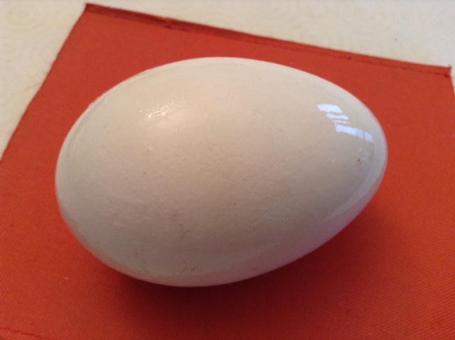 L'uovo di Colombo di Canelli